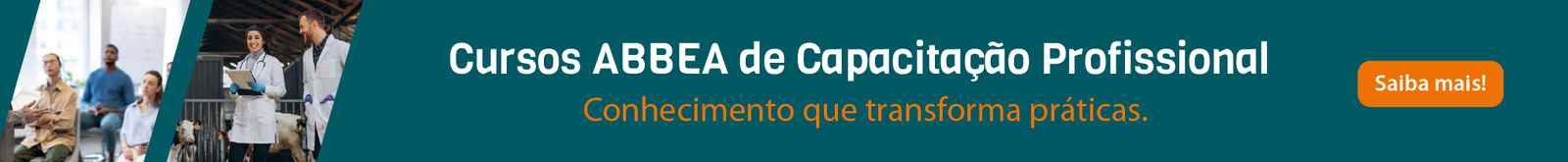 Banner 970 x 100 px-01