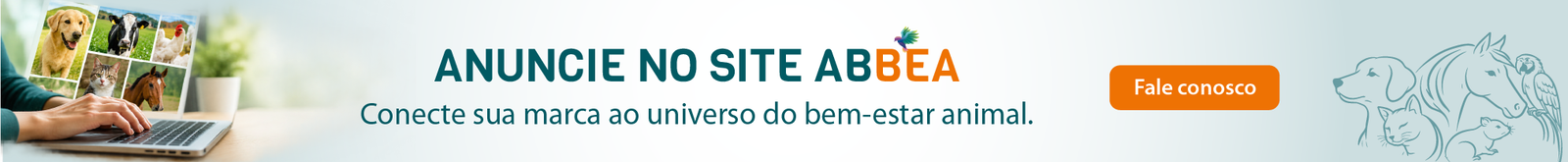 Banner 970 x 100 px-02